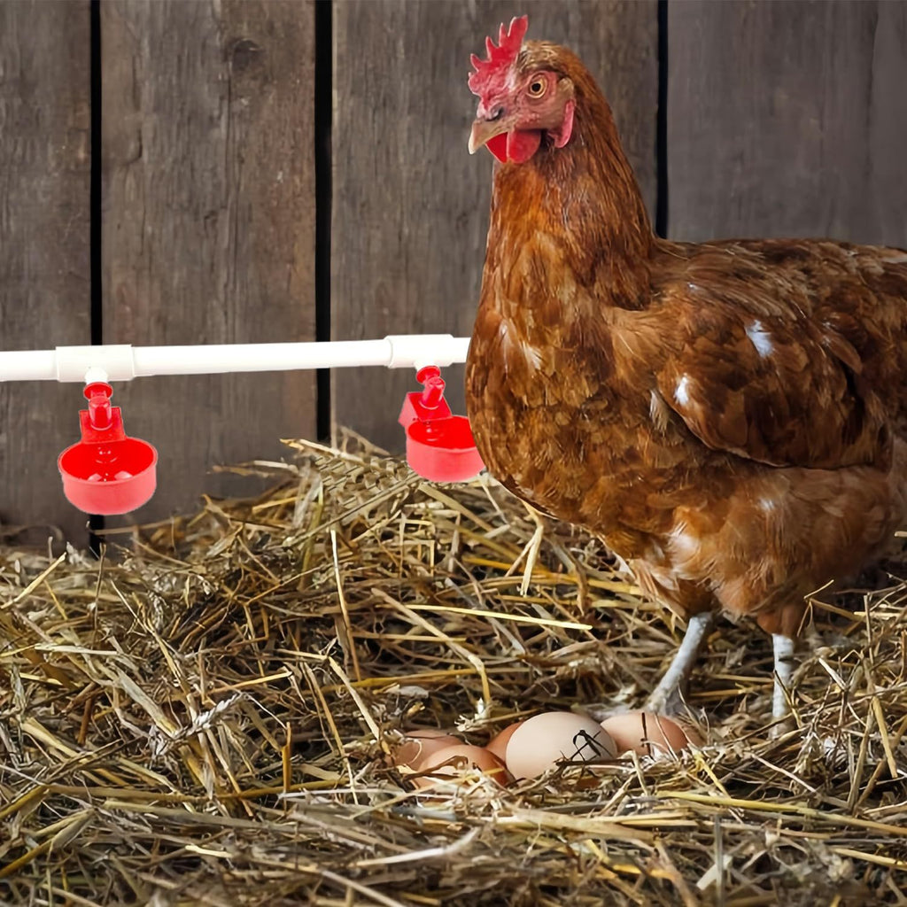 Yunnyp Complete Set Pipeline Automatic Chicken Waterer System,1/2" PVC Pipe Accessories DIY Kit with 2 Hose,chicken water cup,chicken waters,poultry waterer,Duck water feeder for Chicken Duck Goose
