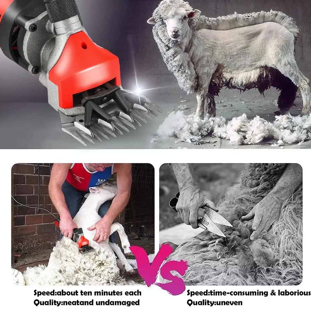 Petyoung 900W Electric Sheep Shears, 6-Speed Professional Grooming Clippers for Thick Coat Animals, Cats, Dogs, Pets